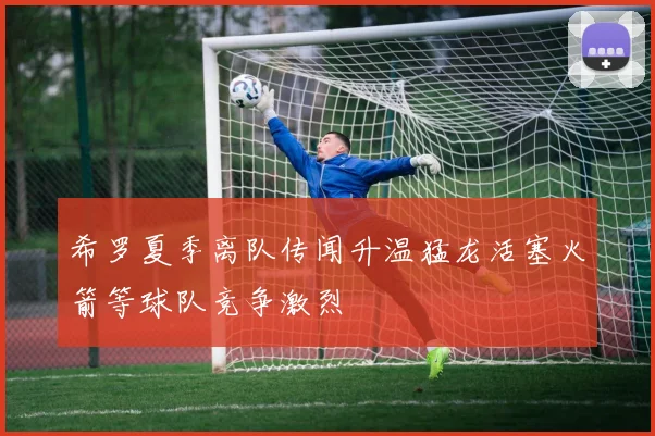 希罗夏季离队传闻升温猛龙活塞火箭等球队竞争激烈