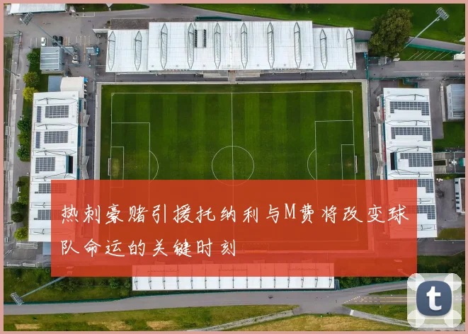 热刺豪赌引援托纳利与M费将改变球队命运的关键时刻