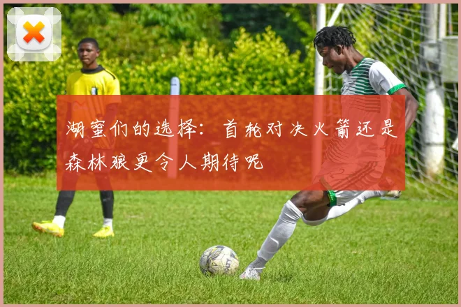 湖蜜们的选择：首轮对决火箭还是森林狼更令人期待呢
